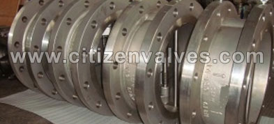 Alloy 20 Single and Double Block Valves Suppliers Dealers Distributors in India