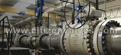 Carbon Steel Single and Double Block Valves Suppliers Dealers Distributors in India