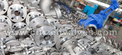 Duplex Steel Single and Double Block Valves Suppliers Dealers Distributors in India