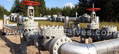 254 Smo Single and Double Block Valves Suppliers Dealers Distributors in India