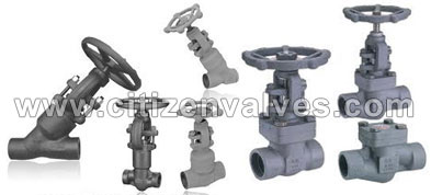 ASTM A217 Grade C12 Valves Manufacturer in India