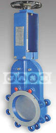 Knife Gate Valve &ndash; Version Mono-C