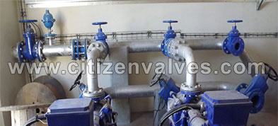 Alloy Steel Y Type Strainer Suppliers Dealers Distributors in India