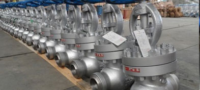 254 Smo Globe Valve Suppliers Dealers Distributors in India