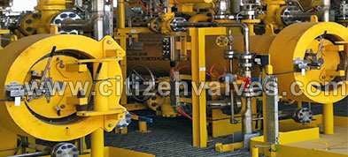 Nickel 200/201 Y Type Strainer Suppliers Dealers Distributors in India