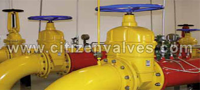 Inconel Y Type Strainer Suppliers Dealers Distributors in India