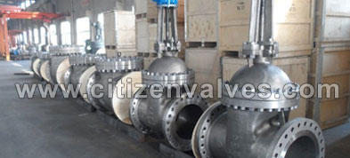 254 Smo Gate Valve Suppliers Dealers Distributors in India