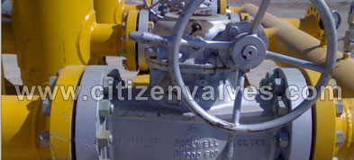 Cast Steel ASTM A351 Grade F8 Valves Manufacturer in India